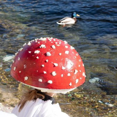 Luzerner Fasnacht 2020